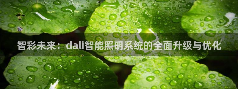 智彩未来：dali智能照明系统的全面升级与优化