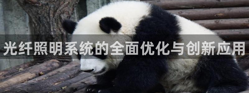 光纤照明系统的全面优化与创新应用