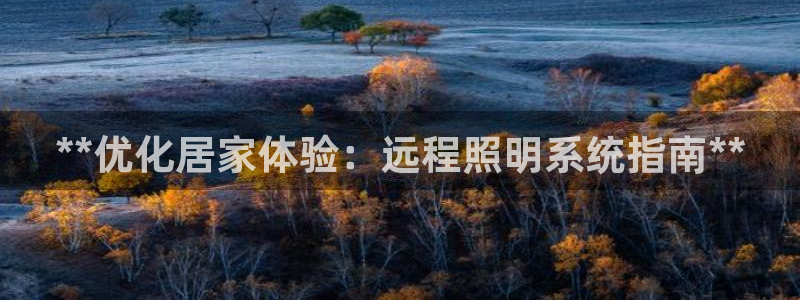 **优化居家体验：远程照明系统指南**