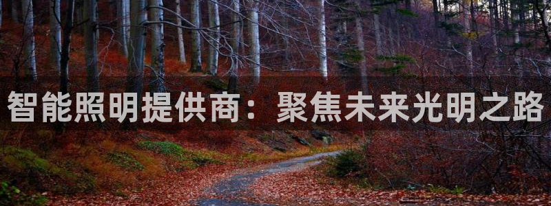 智能照明提供商：聚焦未来光明之路