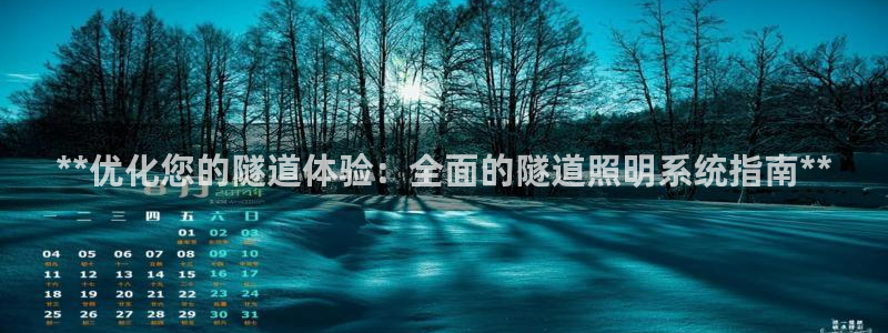 **优化您的隧道体验：全面的隧道照明系统指南**