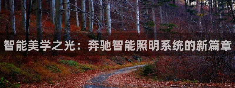 智能美学之光：奔驰智能照明系统的新篇章