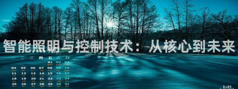 智能照明与控制技术：从核心到未来