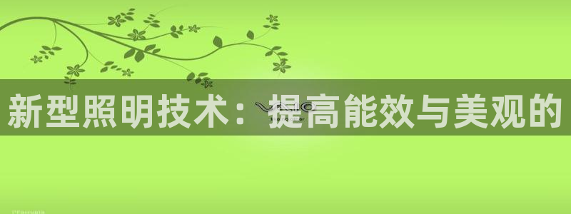 新型照明技术：提高能效与美观的