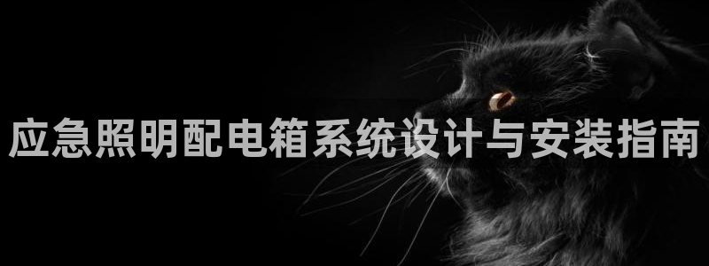 应急照明配电箱系统设计与安装指南