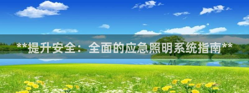 **提升安全：全面的应急照明系统指南**