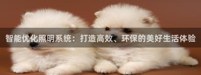 智能优化照明系统：打造高效、环保的美好生活体验