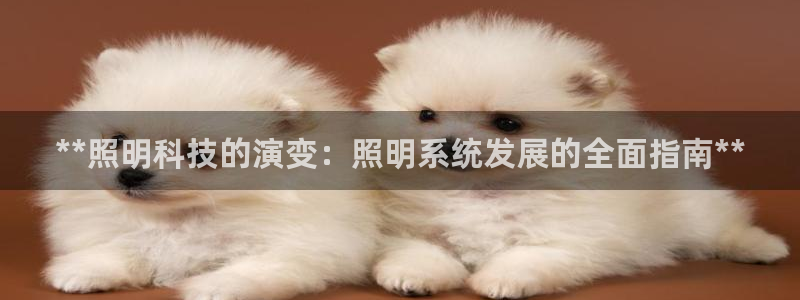 **照明科技的演变：照明系统发展的全面指南**