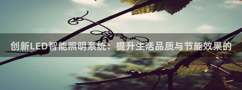 创新LED智能照明系统：提升生活品质与节能效果的
