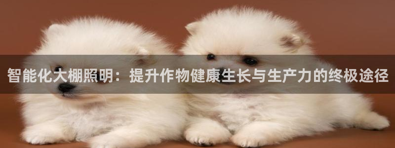 智能化大棚照明：提升作物健康生长与生产力的终极途径