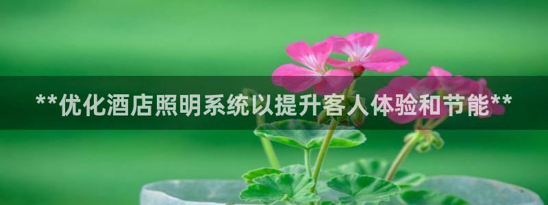 **优化酒店照明系统以提升客人体验和节能**