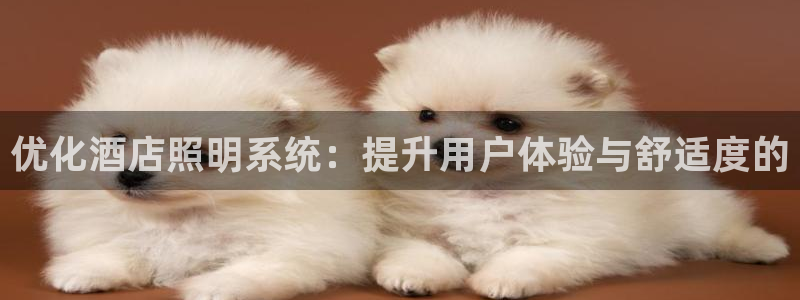 优化酒店照明系统：提升用户体验与舒适度的