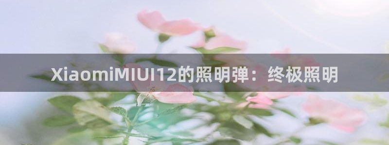 XiaomiMIUI12的照明弹：终极照明