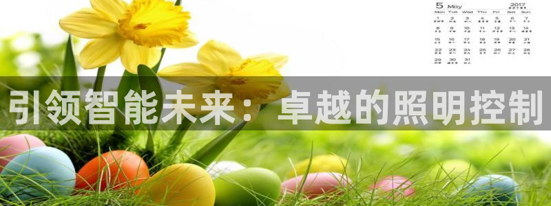 引领智能未来：卓越的照明控制