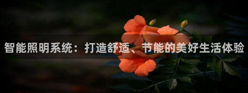 智能照明系统：打造舒适、节能的美好生活体验