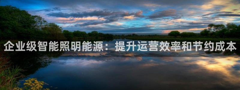 企业级智能照明能源：提升运营效率和节约成本