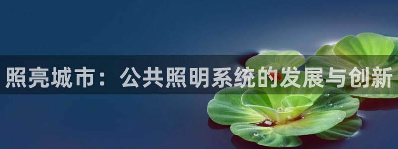 照亮城市：公共照明系统的发展与创新
