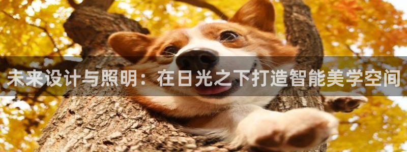 未来设计与照明：在日光之下打造智能美学空间