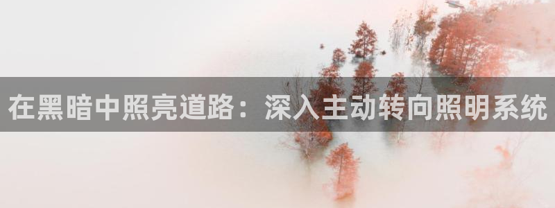 在黑暗中照亮道路：深入主动转向照明系统