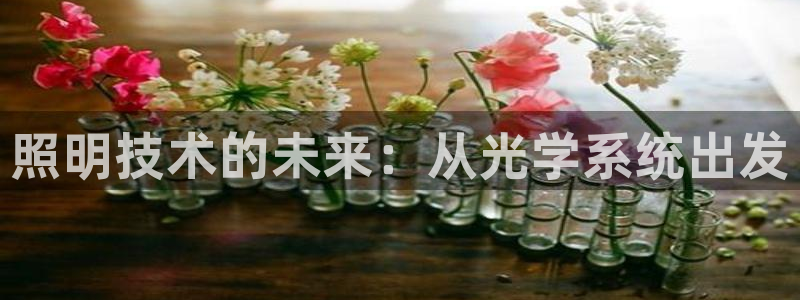 照明技术的未来：从光学系统出发