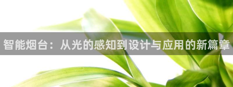 智能烟台：从光的感知到设计与应用的新篇章