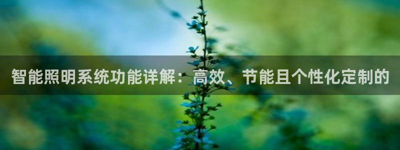 智能照明系统功能详解：高效、节能且个性化定制的