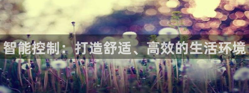 智能控制：打造舒适、高效的生活环境