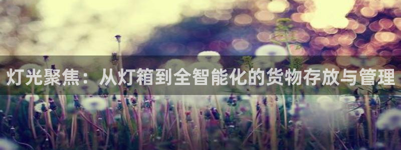 灯光聚焦：从灯箱到全智能化的货物存放与管理