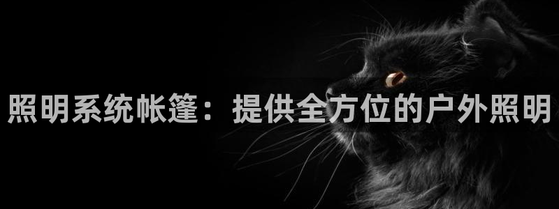 照明系统帐篷：提供全方位的户外照明