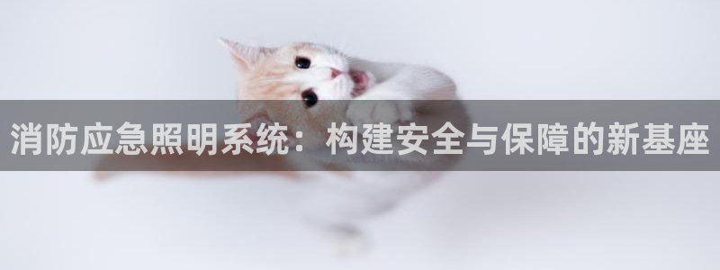 消防应急照明系统：构建安全与保障的新基座