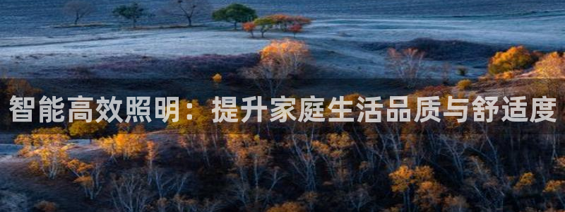 智能高效照明：提升家庭生活品质与舒适度