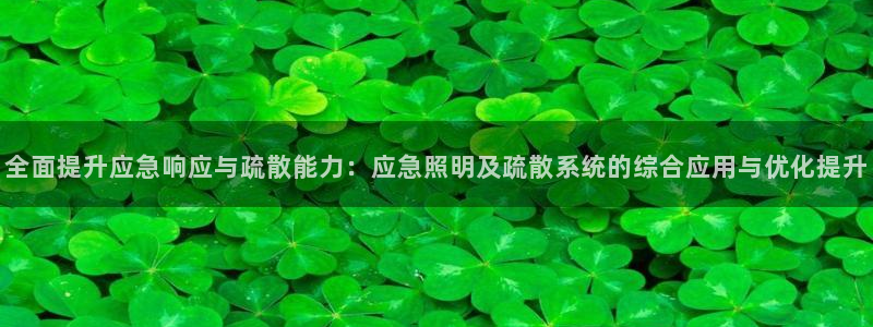 全面提升应急响应与疏散能力：应急照明及疏散系统的综合应用与优化提升