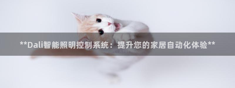 **Dali智能照明控制系统：提升您的家居自动化体验**