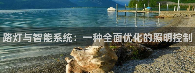 路灯与智能系统：一种全面优化的照明控制