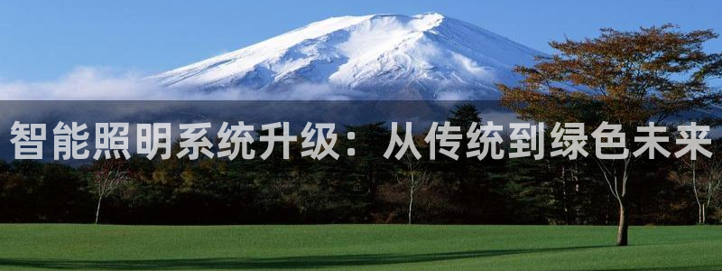 智能照明系统升级：从传统到绿色未来