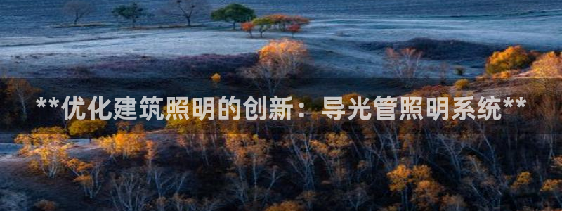 **优化建筑照明的创新：导光管照明系统**